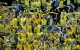 Euroliga koszykarzy: Triumf Panathinaikosu