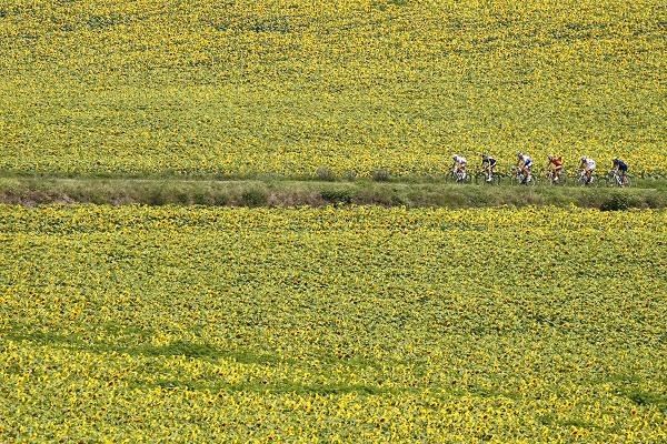 Schleckowie pokonali Contadora na12. etapie TdF Hiszpan Samuel Sanchez z grupy Euskaltel wygrał w stacji narciarskiej Luz-Ardiden w Pirenejach dwunasty etap kolarskiego Tour de France. W walce faworytów górą bracia Schleckowie, którzy zostawili za plecami Alberto Contadora