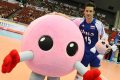 Polscy siatkarze pokonali w Fukuoce mistrzów olimpijskich Amerykanów 3:0 (25:15, 25:20, 25:18) w Pucharze Świata