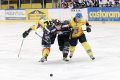 Hokeiści MMKS Podhale Nowy Targ przegrali u siebie z Ciarko PBS Bank Sanok 1-5 (0-2, 0-1, 1-2) w meczu 28. kolejki PLH Fot. Tadeusz Bącal