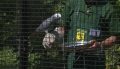Słonica Citta typuje wyniki spotkań Euro 2012