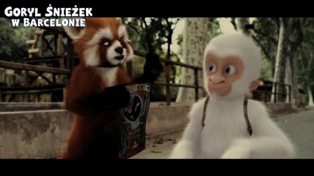 "Goryl Śnieżek w Barcelonie" to animowana opowieść o dzielnym gorylku-albinosku. W polskiej wersji językowej filmu wystąpił m.in. Cezary Pazura.