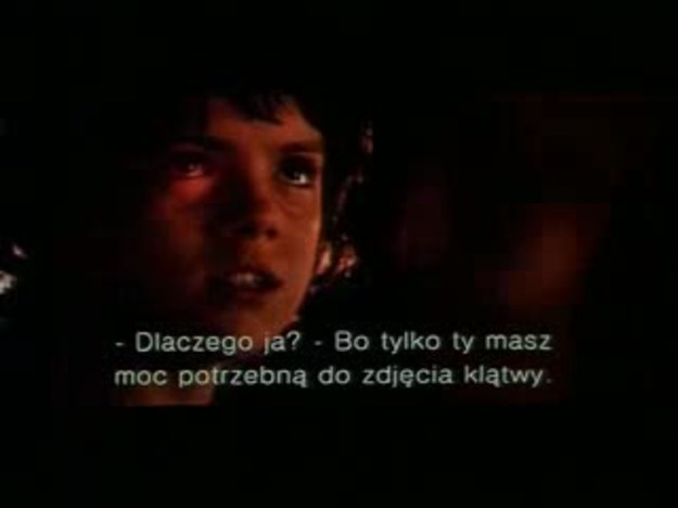Horror "Zew krwi" to opowieść o dwóch walczących ze sobą gangach wilkołaków, które mają także dodatkowy cel - chcą zabić pewnego 12-letniego chłopca. Film trafi do polskich kin już w piątek.