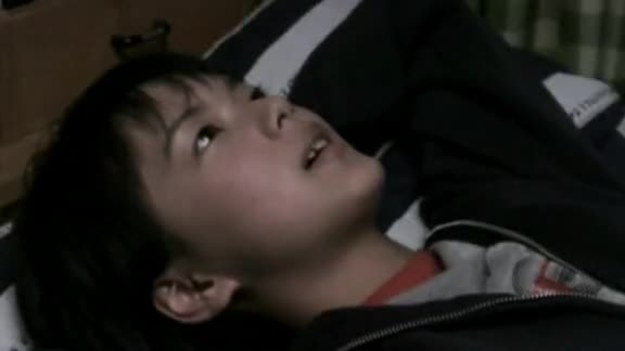 12 letni chłopak, Satoru, po śmierci matki zamknął się w sobie. Jedynym jego przyjacielem jest robot Hinokio.