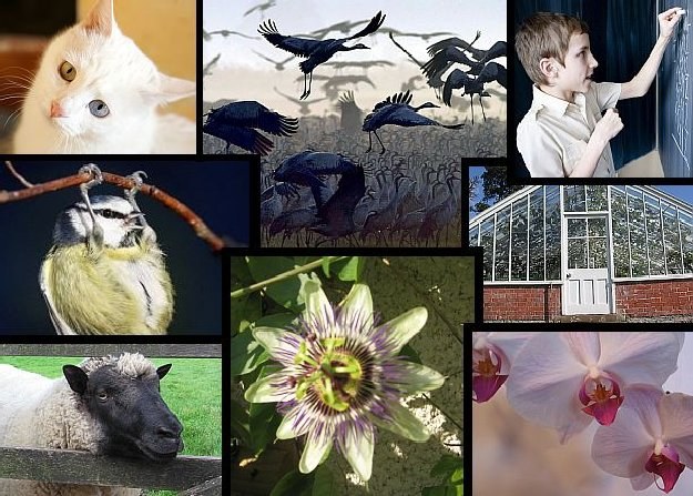 Matura 2010: Rozwiązania zadań z biologii - p. podstawowy /INTERIA.PL/AFP