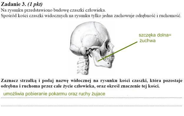 Matura 2010: Rozwiązania zadań z biologii - p. podstawowy /