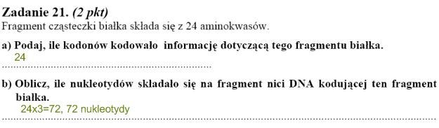 Matura 2010: Rozwiązania zadań z biologii - p. podstawowy /