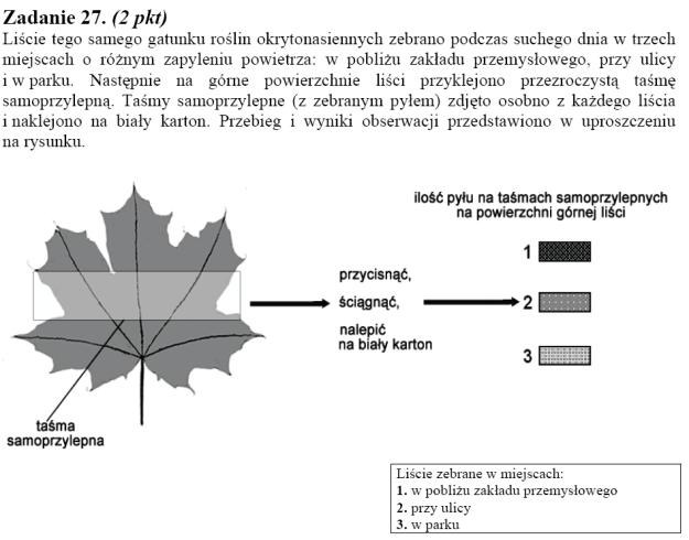 Matura 2010: Rozwiązania zadań z biologii - p. podstawowy /