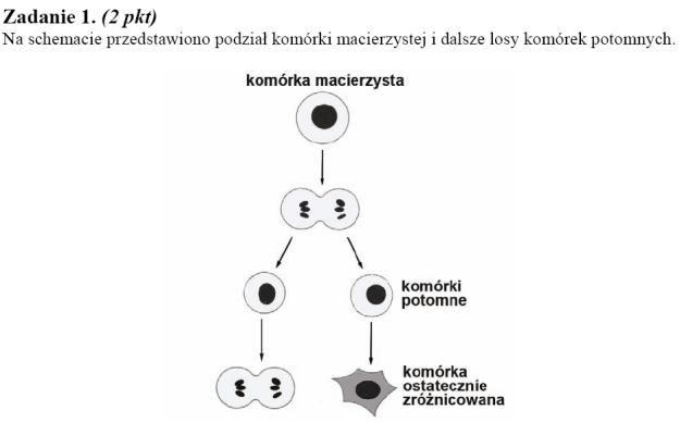 Matura 2010: Rozwiązania zadań z biologii - p. rozszerzony /