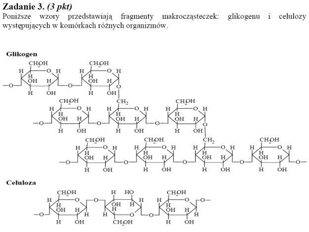 Matura 2010: Rozwiązania zadań z biologii - p. rozszerzony /