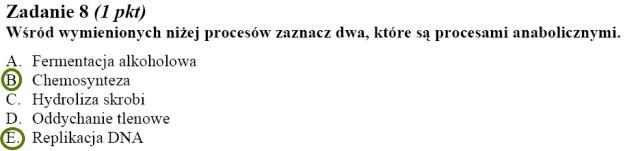 Matura 2010: Rozwiązania zadań z biologii - p. rozszerzony /