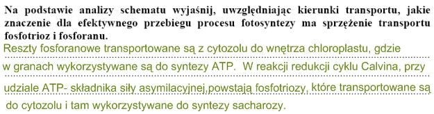 Matura 2010: Rozwiązania zadań z biologii - p. rozszerzony /