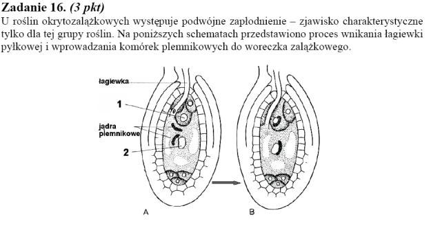 Matura 2010: Rozwiązania zadań z biologii - p. rozszerzony /