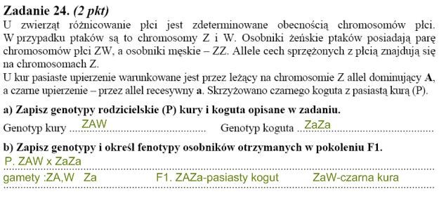 Matura 2010: Rozwiązania zadań z biologii - p. rozszerzony /
