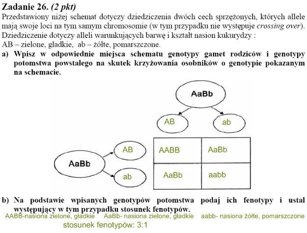 Matura 2010: Rozwiązania zadań z biologii - p. rozszerzony /