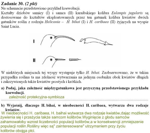 Matura 2010: Rozwiązania zadań z biologii - p. rozszerzony /
