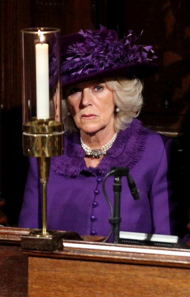 Camilla Parker Bowles /WPA Pool /Getty Images/Flash Press Media