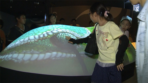 W japońskiej Jokohamie powstało niezwykłe muzeum poświęcone Ziemi. Można tu spacerować wśród wyczarowanych w technologii 3D zwierząt, łudząco podobnych do prawdziwych, a nawet... odczuwać ekspozycje wszystkimi zmysłami.