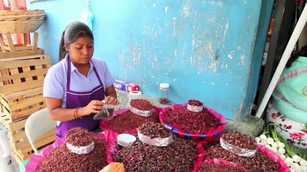 Meksykański stan Oaxaca może poszczycić się niespotykanym nigdzie indziej bogactwem smaków. To właśnie tutaj jedna z najstarszych kuchni świata - kuchnia Indian Ameryki Środkowej - osiąga wyżyny sztuki kulinarnej. Stan Oaxaca słynie zwłaszcza ze swoich sosów mole, przygotowywanych na bazie kakao. Tubylcy i turyści równie mocno zachwycają się tejate - napojem z mąki kukurydzianej i sfermentowanych ziaren kakao. W Oaxaca znaleźć można najlepsze owoce tropikalne, warzywa, zioła i różne odmiany ostrej papryki. Tutaj wyśmienicie smakują nawet... smażone koniki polne i salsa z latających mrówek!

