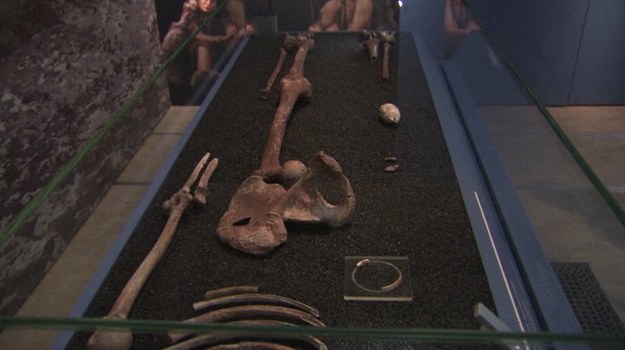 „Brytania: Milion lat historii ludzkości” to tytuł wystawy w londyńskim Muzeum Historii Naturalnej. To pierwsze tak drobiazgowe odtworzenie życia i zwyczajów różnych gatunków praludzi - m.in. Neandertalczyków i Homo sapiens - którzy przed setkami tysięcy lat zamieszkiwali Wyspy Brytyjskie.


Nasi praprzodkowie żywili się wszystkim, co byli w stanie schwytać. Narzędzia, które służyły im do oporządzania i porcjowania zdobyczy, były prymitywne, ale skuteczne. Najmroczniejszy sekret praludzi ma jednak związek z tym, jak postępowali ze zwłokami zmarłych. Kości ludzkie sprzed 500 tysięcy lat, pokryte drobnymi licznymi nacięciami, świadczą niezbicie o tym, że były one skrupulatnie oczyszczane z mięsa, a potem łamane na kawałeczki, by można było wyssać z nich szpik. Z kolei czaszki zmarłych miały znaczenie rytualne - wykonywano z nich naczynia do picia.