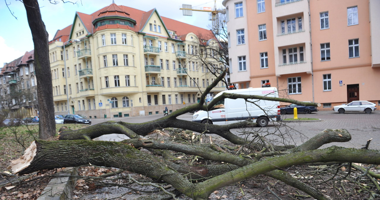 Wichury nad Polską Zerwane dachy połamane drzewa Pogoda w INTERIA PL