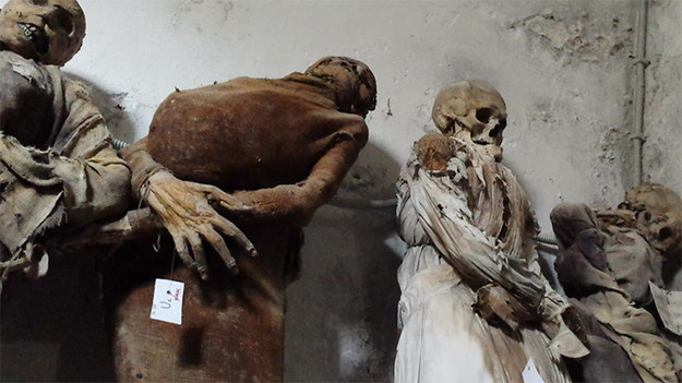 Katakumby pod klasztorem Kapucynów w Palermo na Sycylii przywodzą na myśl sceny z okrutnych horrorów. Wszystko przez znajdujące się tam mumie - zarówno osób duchownych, jak i świeckich. Pierwszych zmarłych pochowano tam w XVI wieku, ostatnich w latach 20. XX wieku. Jedną z ostatnich pochowanych tam osób była dwuletnia Rosalia Lombardo. 


Zmumifikowane ciała są w całości ubrane, stoją, leżą lub wiszą na ścianach. Podzielone są według płci i pozycji społecznej. Są np. dziewice w sukniach ślubnych, które nie zdążyły wyjść za mąż.