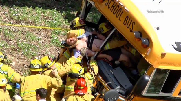Jedenastu uczniów gimnazjum i ich kierowca zostało rannych w wypadku autobusu szkolnego w Południowej Kalifornii. 


Lokalne media pokazały zdjęcia kierowcy, który został uwięziony w autobusie i akcję jego uwalnianiu przez strażaków. Mężczyzna został zabrany do szpitala karetką pogotowia. 


Kierowca i dwójka dzieci są w stanie krytycznym. Pozostałych dziewięciu uczniów odniosło niewielkie obrażenia. 


Autobus wiózł uczniów do domu. Wracali ze szkolnej wycieczki w Anaheim. Nagle autobus zjechał z drogi i uderzył w drzewo. Żadne inne pojazdy nie brały udziału w wypadku.  


Autobus był wyposażony w pasy bezpieczeństwa, ale nie wiadomo, jak wielu uczniów miało je zapięte. 