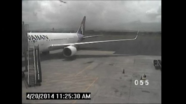 Oto kamery monitoring na lotnisku na Maui. Zaparkował na nim samolot hawajskich linii lotniczych. Niebo jest zachmurzone. Pracownicy lotniska zabierają się do rutynowych czynności. Nagle… spod samolotu wyłania się noga 15-latka, a on sam „spada” na beton.


Wideo ujawniono dopiero teraz, chociaż do zdarzenia doszło 20 kwietnia. Nastolatek z Kalifornii pokłócił się z rodzicami, pojechał na lotnisko, przeszedł przez ogrodzenie i wdrapał się do komory podwozia Boeinga 767. Po pięciu godzinach lotu samolot ten wylądował na wyspie Maui na Hawajach. Gapowicza zatrzymano na płycie lotniska.


Film w dużej mierze potwierdza wcześniejsze informacje podane przez FBI i urzędników z lotniska. Historia wygląda bowiem dość niewiarygodne. Yahya Abdi leciał  na wysokości 12 kilometrów, w powietrzu jest wtedy bardzo mało tlenu, a temperatury mogą spaść do kilkudziesięciu stopni poniżej zera. Tymczasem chłopak nie tylko przeżył lot, ale także – kiedy było już po wszystkim – stanął na własnych nogach. Potem trafił pod opiekę lekarzy.


Rzeczniczka hawajskiego departamentu transportu, Caroline Sluyter powiedziała, że materiał wideo ujawniono na wniosek mediów po decyzji prokuratora generalnego.