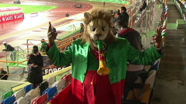 To będzie siódmy występ reprezentacji Kamerunu na piłkarskich mistrzostwach świata. W drużynie „Nieposkromionych Lwów”, prowadzonej przez Niemca Volkera Finke, nie brakuje utalentowanych piłkarzy – ale mimo to jej szanse na wyjście z Grupy A wydają się dość nikłe. Kameruńczykom przyjdzie zmierzyć się z Brazylią, Chorwacją i Meksykiem.