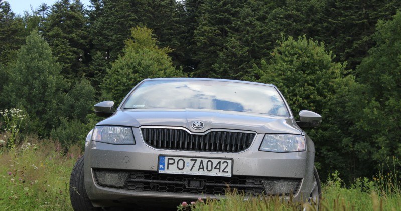 Rodzinne auto z silnikiem 1 2 l Czy to może jeździć Motoryzacja w