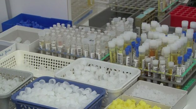 W Szwajcarii rozpoczęły się testy szczepionki przeciwko wirusowi ebola. Opracował ją koncern farmaceutyczny Glaxo SmithKline. Szczepionka zawiera wyizolowanego od szympansów adenowirusa typu 3, a ochronę przed zarażeniem ma zapewniać już po 5 tygodniach po podaniu.


W testach bierze udział 400 ochotników, z których każdy otrzyma po 800 franków. Producent chciałby wprowadzić szczepionkę na rynek jak najszybciej. W obecnej formule zapewnia ona ochronę przed wirusem na okres 10 miesięcy. Docelowo trzeba ten czas wydłużyć - ale w obecnej sytuacji i tak jest to osiągnięcie na wagę złota.
