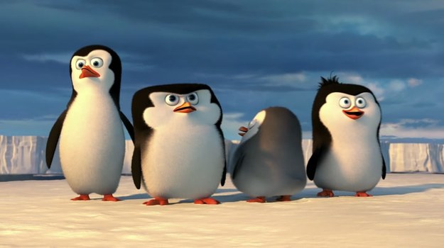 Pełnometrażowa fabularna animacja opowie o przygodach bohaterów znanych z serii "Madagaskar" oraz telewizyjnego serialu - Skippera, Szeregowego, Kowalskiego i Rico.