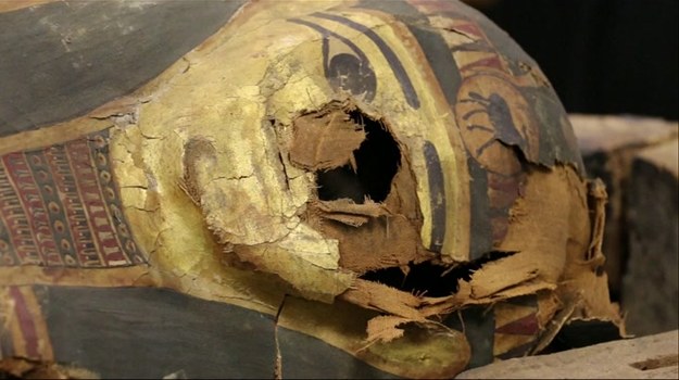 Taka gratka nie zdarza się naukowcom codziennie! W Muzeum Historii Naturalnej Fielda w Chicago dokonano otwarcia staroegipskiego sarkofagu datowanego na około 500 rok przed Chrystusem. Spoczywał w nim syn wpływowego kapłana Inarofa - Minirdis. Chłopiec zmarł w wieku 14 lat, a jego ciało zostało zabalsamowane, by zmarł mógł cieszyć się nieśmiertelnością.


Dzięki skrupulatnym badaniom mumii Minirdisa, naukowcy poznali szczegóły techniki balsamowania stosowanej w tzw. Okresie Późnym, w historii starożytnego Egiptu przypadającym na lata 664-332 p.n.e. W tym czasie narządy wewnętrzne zmarłych nie były obowiązkowo umieszczane w rytualnych urnach kanopskich (przeznaczonych na wątrobę, płuca, jelita i żołądek). Częściej spotykanym sposobem było zawijanie organów w małe "paczuszki" i umieszczanie ich w brzuchu, klatce piersiowej lub między nogami zmarłego.