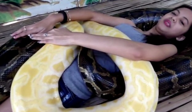 To niesamowite wideo przedstawia dziewczynę, która chcąc przezwyciężyć strach przed wężami, zgodziła się na specyficznym masaż pytonami birmańskimi. 19-letnia studentka nie kryła zdziwienia, kiedy dowiedziała się, że taki masaż w ogóle istnieje. Mimo fobii dała się jednak namówić na ten dziwaczny eksperyment, w którym oprócz niej brały udział 4 olbrzymie pytony birmańskie! Czy taka kuracja przyniosła zamierzony efekt?  