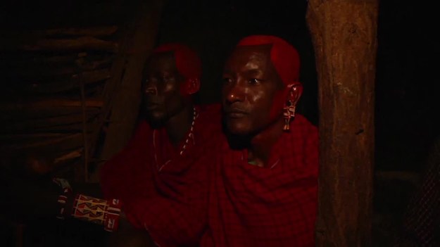 Masajowie – autochtoniczny lud zamieszkujący Kenię i północną Tanzanię – są jedną z najlepiej poznanych afrykańskich grup etnicznych. Prowadzą półkoczowniczy tryb życia. Ich barwne zwyczaje są przedmiotem licznych badań etnograficznych.


Ślub w społeczności Masajów to dzień szczęśliwy dla wszystkich - z wyjątkiem panny młodej. Musi ona porzucić swoją rodzinę i zamieszkać z krewnymi męża; ludźmi, których w ogóle nie zna. Jej zdanie nie ma tu jednak nic do rzeczy, ponieważ młoda Masajka jest przedmiotem swoistej transakcji. W zamian za oddanie ją mężczyźnie, jej rodzina otrzymuje rekompensatę w postaci zwierząt gospodarskich czy gotówki.


Reporter agencji Associated Press miał sposobność uczestniczyć w tradycyjnym masajskim ślubie. Świeżo upieczona mężatka, 21-letnia Jane Kerea, nie mogła powstrzymać łez. Najszczęśliwszym człowiekiem pod słońcem był za to jej ojciec, który sprzedał panu młodemu swoją córkę za pięć krów, dziesięć kóz, sześć koców, sześć ozdobnych chust, 20 litrów piwa i 50 tysięcy kenijskich szylingów. Zobaczcie, jak wyglądała ta niezwykła ceremonia.