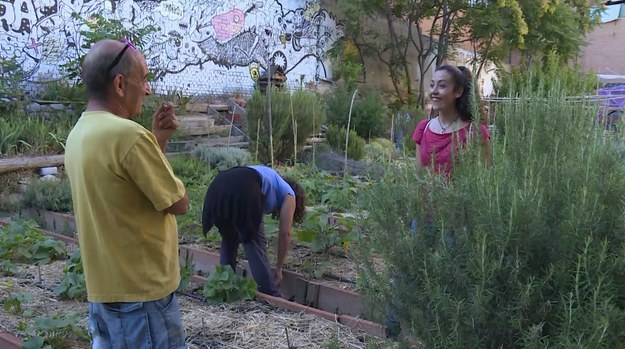 Wysokie bezrobocie i kryzys gospodarczy zachęcił wielu Hiszpanów do uprawiania miejskich ogródków. Dla wielu z nich jest to swego rodzaju terapia jak i odnowienie ducha wspólnoty.   