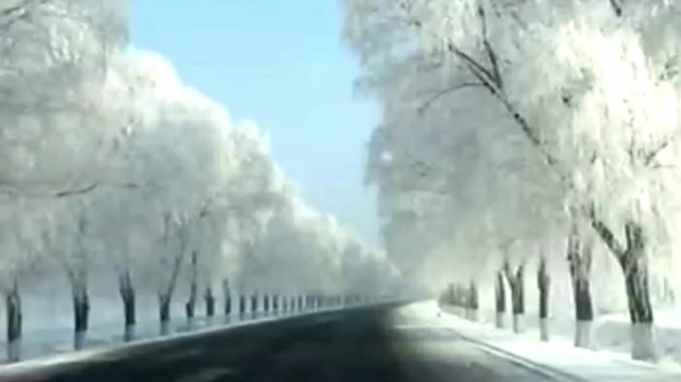 Zimowa aura zawitała do Chińskiej prowincji Jilin i od razu pokazała swój wyjątkowy urok. Szadź, która zgromadziła się na drzewach tworzy niesamowity zimowy krajobraz, który przyciąga turystów. Zjawisko powstało w tym regionie w wyniku zamarznięcia osadzonych na drzewach kropelek wody znajdujących się w mgle.  