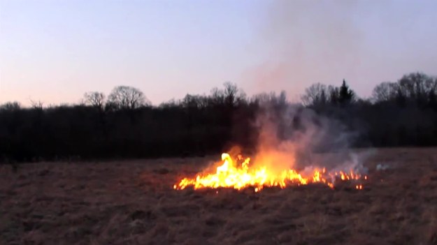 Jeden odpalony zimny ogień wygląda pięknie. Jak zatem wyglądałoby 10 tys odpalonych zimnych ogni? Postanowił się o tym przekonać Yuriy Yaniv z Ukrainy. Efekt jego eksperymentu jest spektakularny! Tylko nie próbujcie powtarzać tego w domu!