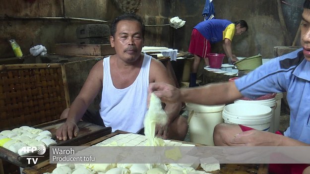 Calisari to mała indonezyjska wioska, leżąca w głębi wyspy Jave. Tutejsi mieszkańcy od pokoleń zajmują się produkcją tofu. Teraz jednak, wytwarzają nie tylko ser z mleka sojowego, ale tani biogaz. - Dzięki temu projektowi, nasze otoczenie jest czystsze - mówi szef lokalnego rządu, Aziz Masruri. 