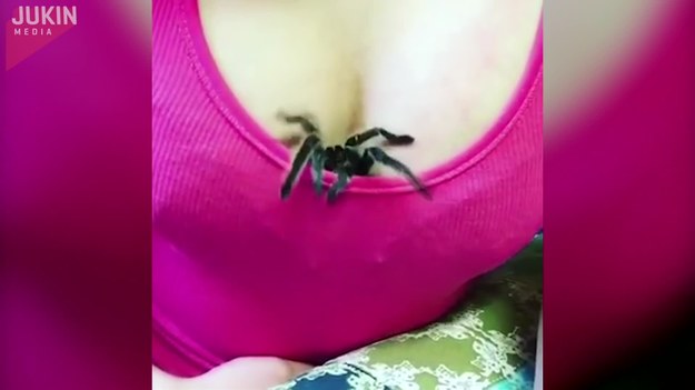 Ta kobieta miała niespodziankę dla każdego, kto spojrzał na jej piersi. Spod jej bluzki wychodzi... gigantyczna tarantula!