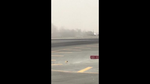 Awaryjne lądowanie samolotu pasażerskiego linii Emirates w Dubaju. Maszyna stanęła w płomieniach i uległa zniszczeniu. Wszyscy pasażerowie są bezpieczni i zostali ewakuowani z pokładu.