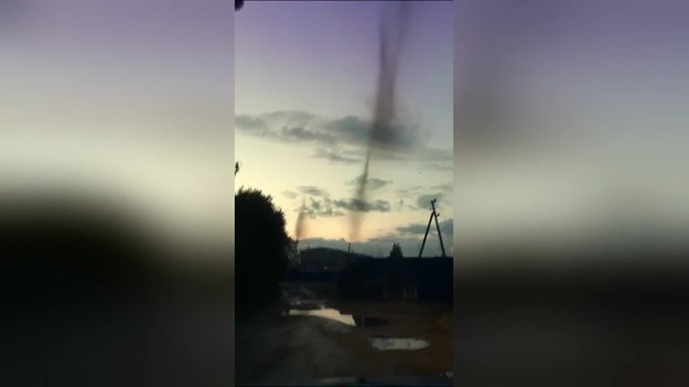 Wyjątkowy materiał filmowy, na którym widać roje komarów, które kształtem przypominają ogromne tornado. A wszystko to o zmierzchu w Rosji.