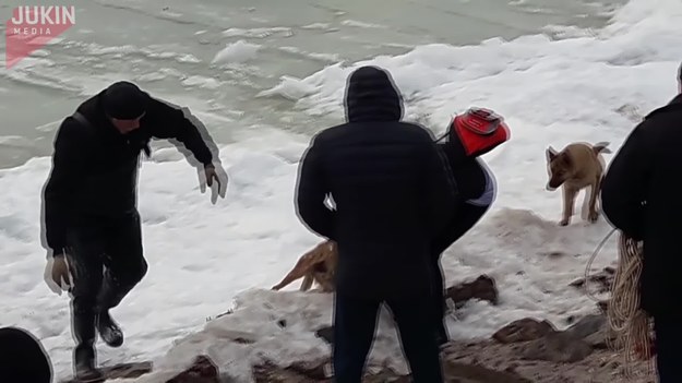 Ci ludzie zareagowali od razu, gdy tylko zobaczyli psa, próbującego utrzymać się na powierzchni zamarzniętej wody. Jak zakończyła się ta niesamowita akcja ratunkowa?