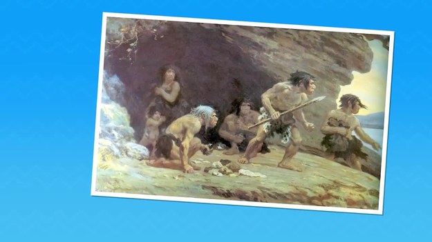 Badacze przeanalizowali skamieniały osad nazębny Neandertalczyków, dzięki czemu uzyskali wiele informacji na temat ich diety. Czy wiecie, do jakich wniosków doszli? Koniecznie zobaczcie!


Program   Nauka bez fikcji prowadzi dla Was  Dawid Myśliwiec.


Pozostałe odcinki serii znajdziecie też  TUTAJ 


PREMIERA W INTERII W KAŻDĄ ŚRODĘ O 9:00.
