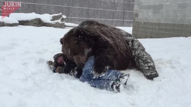 Ten facet poklepał przyjaźnie niedźwiedzia po głowie. Potem próbował odejść. Wtedy misiek przyciągnął go do siebie i mocno przytulił.