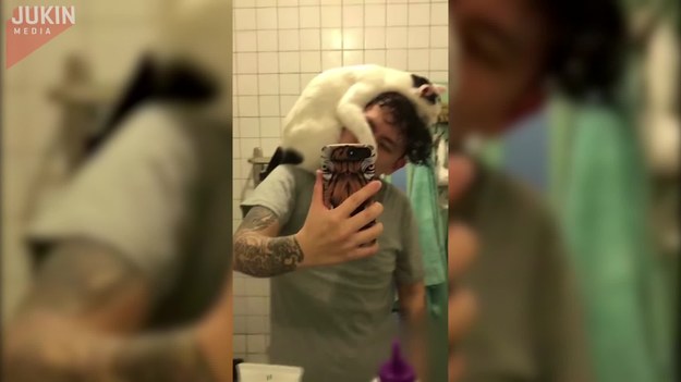Kot wskakuje na ramię swojego pana, gdy ten wychodzi spod prysznica. Co robi? Zobaczcie.