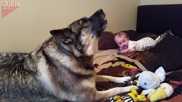 To czteromiesięczne dziecko i pies oglądali razem telewizję. Potem zaczęli ze sobą rozmawiać :).