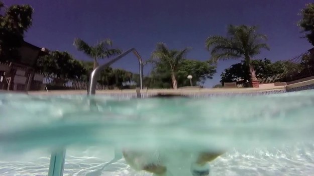 Ten uroczy corgi uwielbia pływanie w basenie. Raz w tygodniu razem ze swoją panią oddaje się relaksującym kąpielom. 