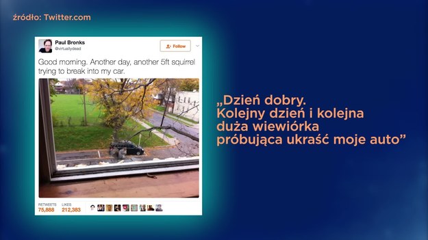 Czym w tym tygodniu zaskoczyli nas użytkownicy Twittera? Który tweet zdobył największą popularność? Dowiecie się z najnowszego odcinka "Jak oni ćwierkają"!