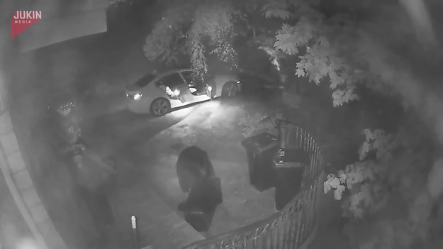 Kiedy wszyscy spali, na parkingu przed domem zauważony został niedźwiedź, który szukał jedzenia. Kiedy nie znalazł niczego w koszu na śmieci, postanowił wejść do samochodu i tam poszukać.